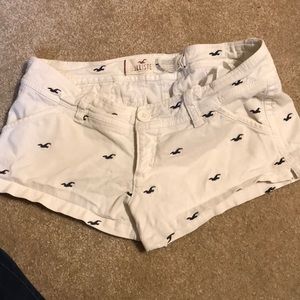 White Hollister Shorts- Size 5